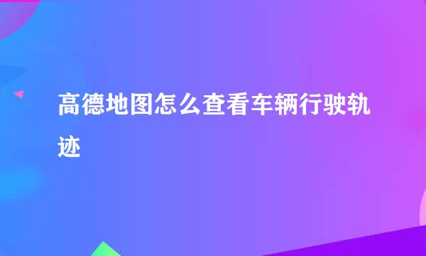 高德地图怎么查看车辆行驶轨迹