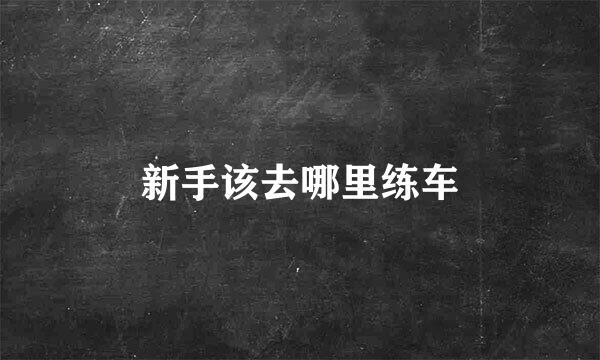 新手该去哪里练车
