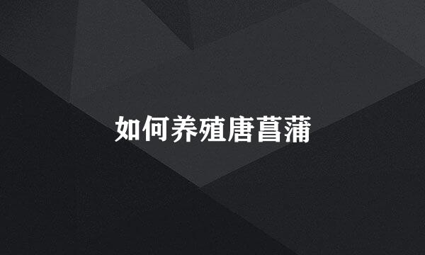 如何养殖唐菖蒲