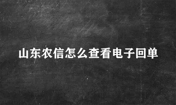 山东农信怎么查看电子回单
