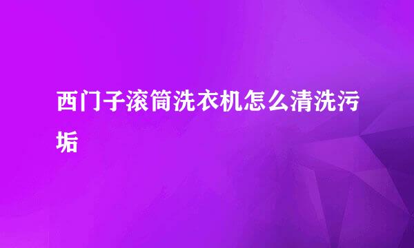 西门子滚筒洗衣机怎么清洗污垢