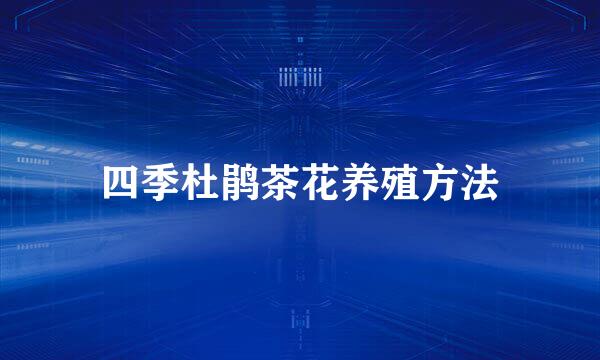 四季杜鹃茶花养殖方法