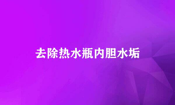 去除热水瓶内胆水垢