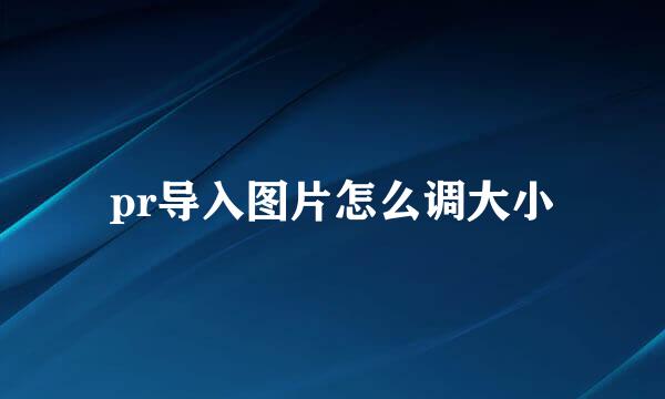 pr导入图片怎么调大小