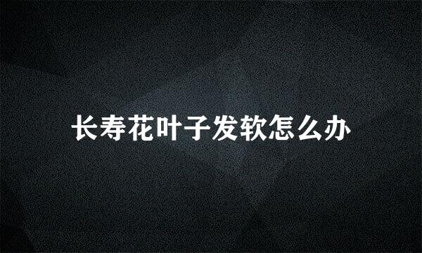长寿花叶子发软怎么办