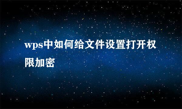 wps中如何给文件设置打开权限加密