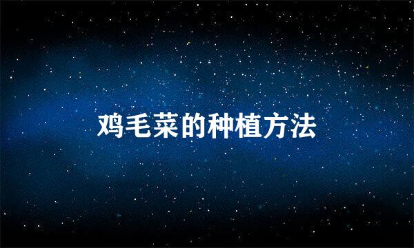 鸡毛菜的种植方法