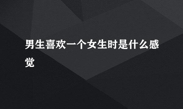 男生喜欢一个女生时是什么感觉