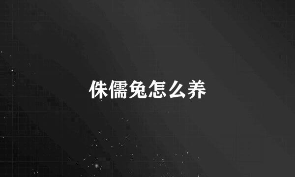 侏儒兔怎么养