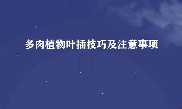 多肉植物叶插技巧及注意事项