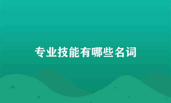 专业技能有哪些名词