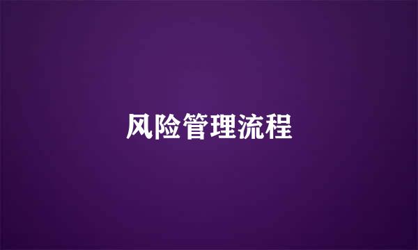 风险管理流程