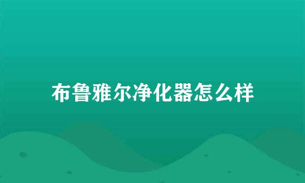 布鲁雅尔净化器怎么样