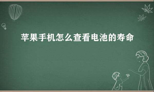 苹果手机怎么查看电池的寿命