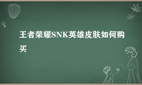 王者荣耀SNK英雄皮肤如何购买