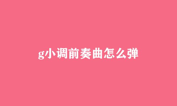 g小调前奏曲怎么弹