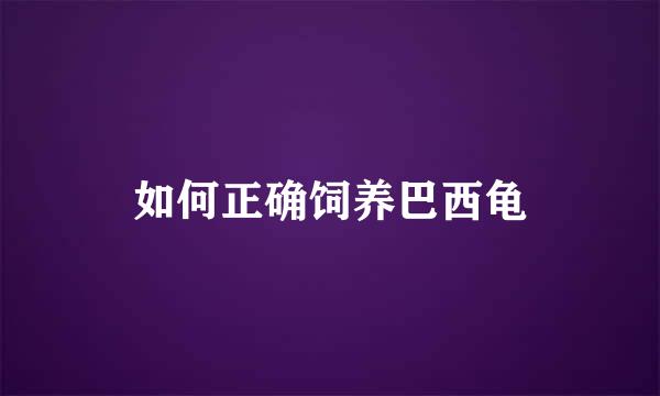 如何正确饲养巴西龟