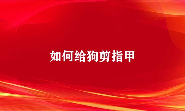 如何给狗剪指甲