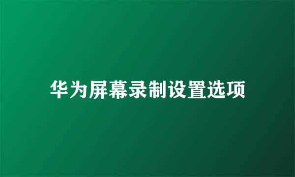 华为屏幕录制设置选项