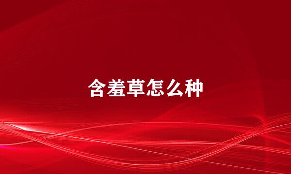 含羞草怎么种