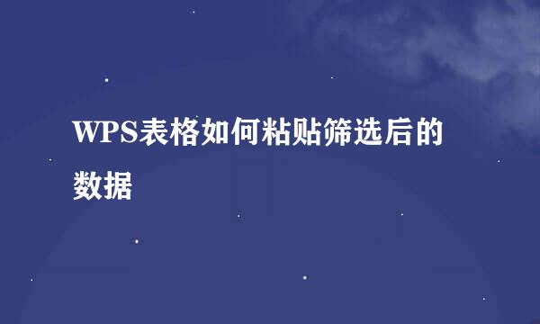 WPS表格如何粘贴筛选后的数据