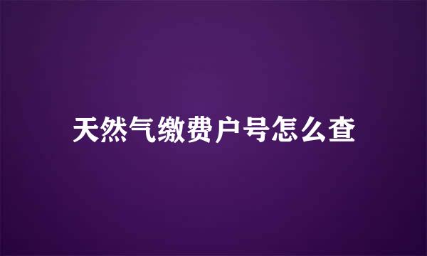 天然气缴费户号怎么查