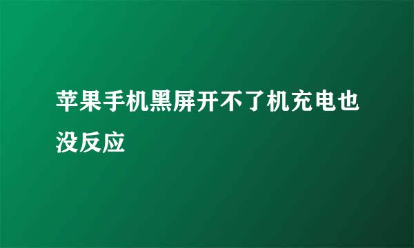 苹果手机黑屏开不了机充电也没反应