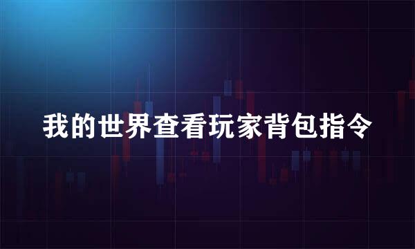 我的世界查看玩家背包指令