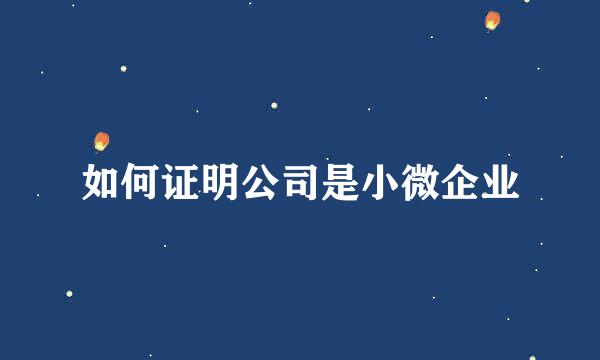 如何证明公司是小微企业