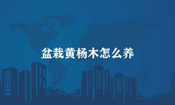 盆栽黄杨木怎么养