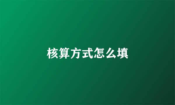 核算方式怎么填