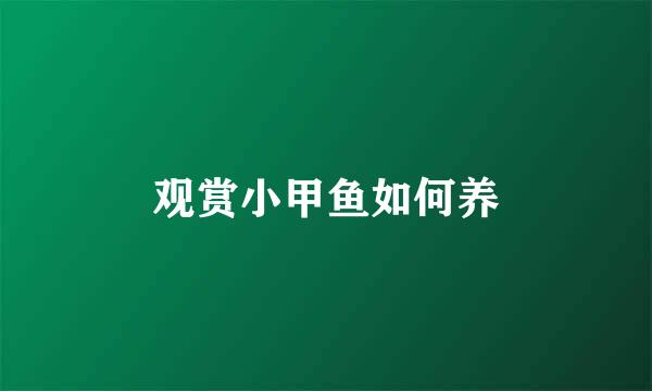 观赏小甲鱼如何养