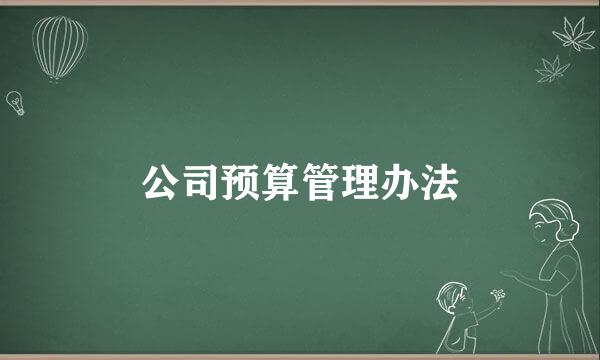 公司预算管理办法