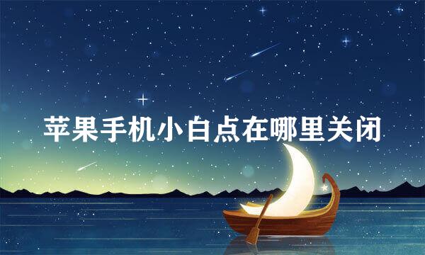 苹果手机小白点在哪里关闭