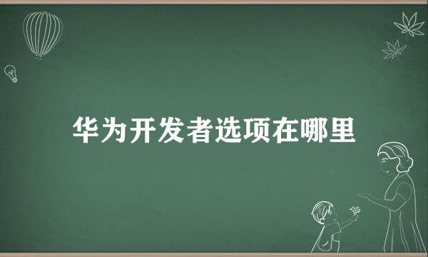 华为开发者选项在哪里