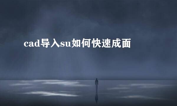 cad导入su如何快速成面