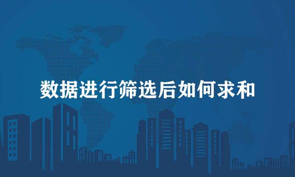 数据进行筛选后如何求和