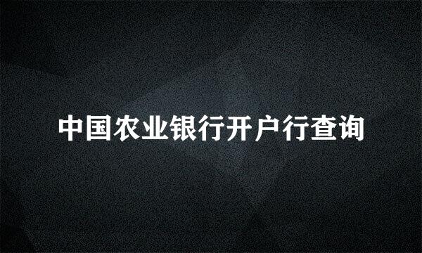 中国农业银行开户行查询