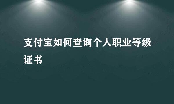 支付宝如何查询个人职业等级证书