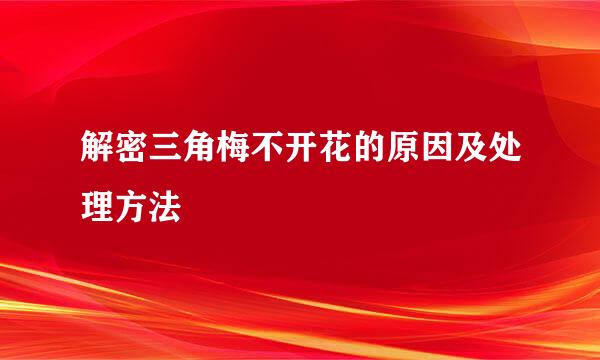 解密三角梅不开花的原因及处理方法