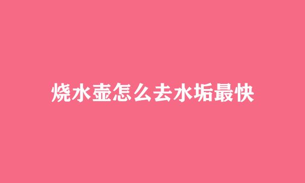 烧水壶怎么去水垢最快