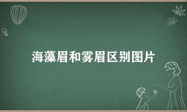 海藻眉和雾眉区别图片
