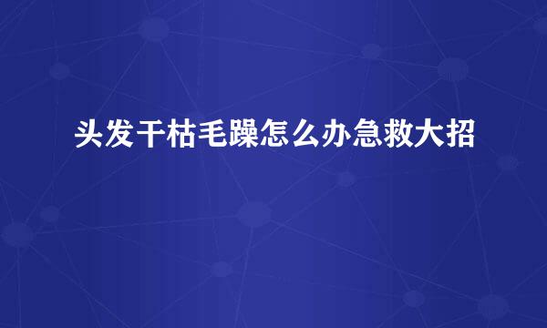 头发干枯毛躁怎么办急救大招