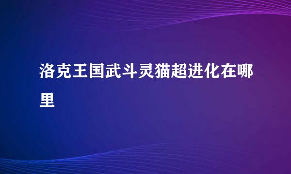 洛克王国武斗灵猫超进化在哪里