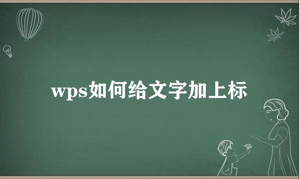 wps如何给文字加上标