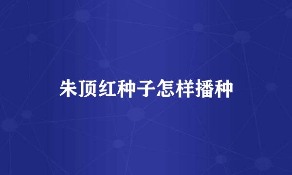 朱顶红种子怎样播种