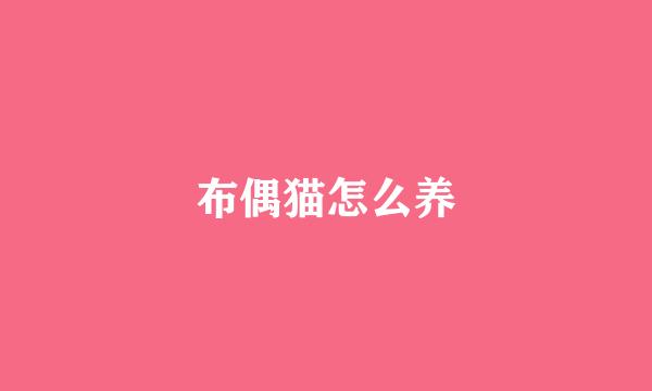 布偶猫怎么养