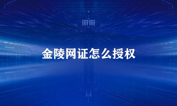 金陵网证怎么授权