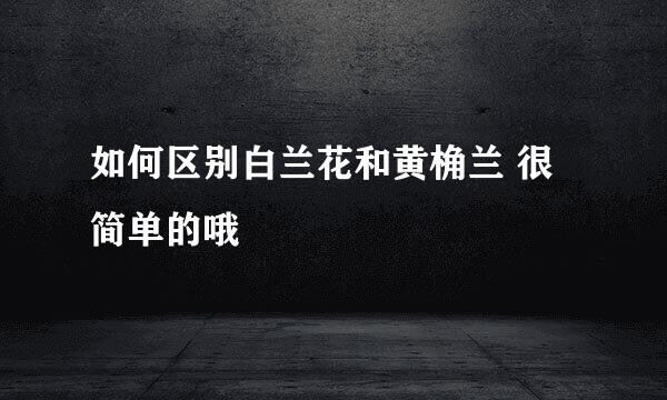 如何区别白兰花和黄桷兰 很简单的哦