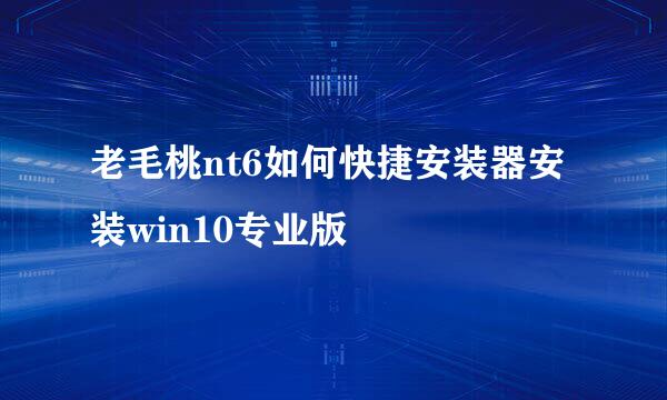 老毛桃nt6如何快捷安装器安装win10专业版